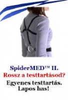 /album/kepek1/kinalatsmiivertical1522-jpg/